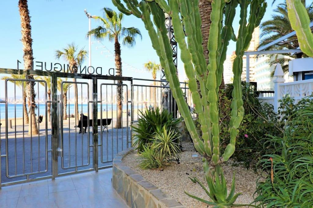 Appartement Luxurious 2-bedroom With Stunning Views, 1st Line On Levante Beach, Benidorm